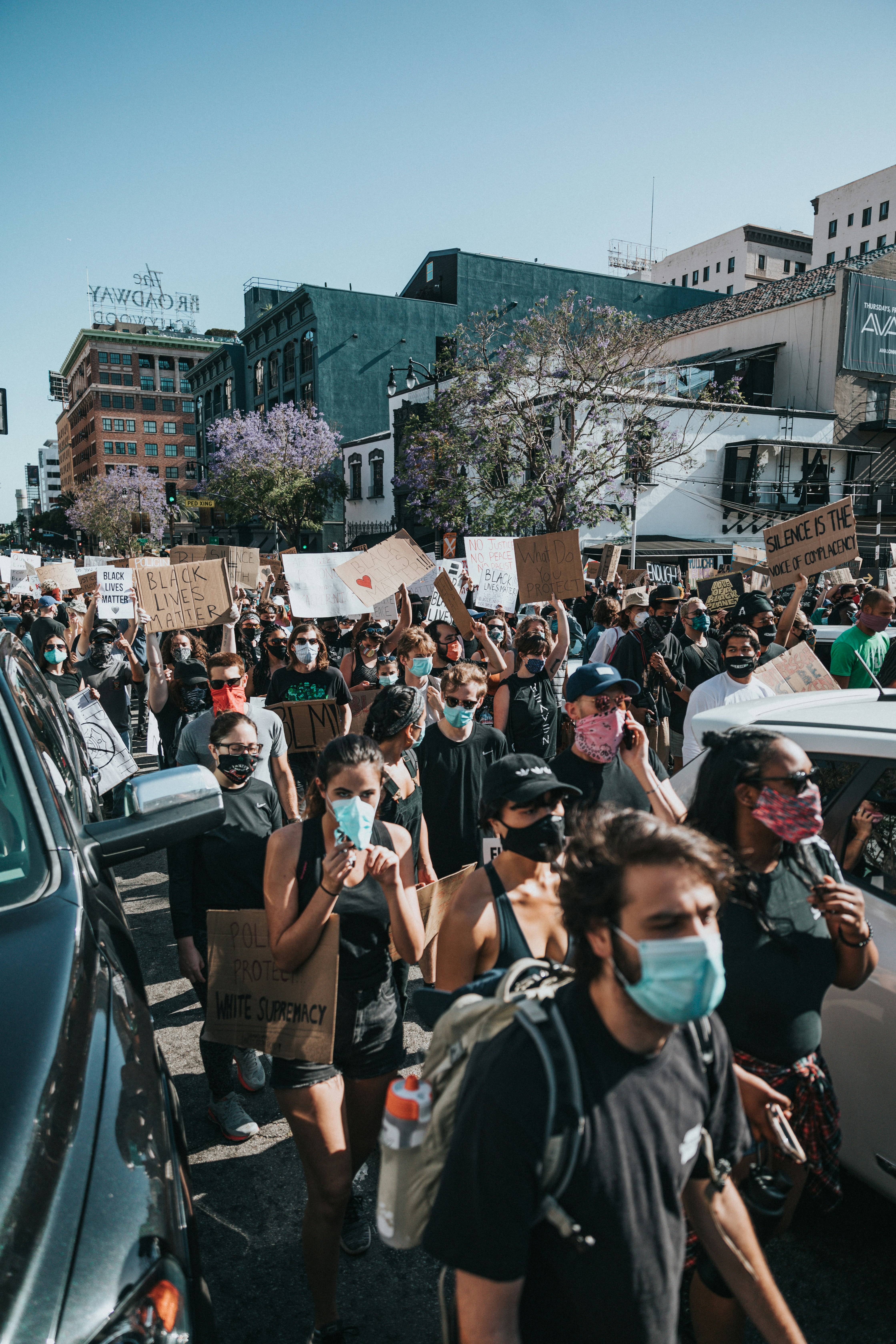 people gathering on street during daytime